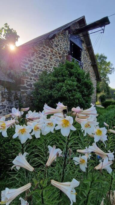 Unique Room With Great View In A Former Old Barn Troche Exterior photo